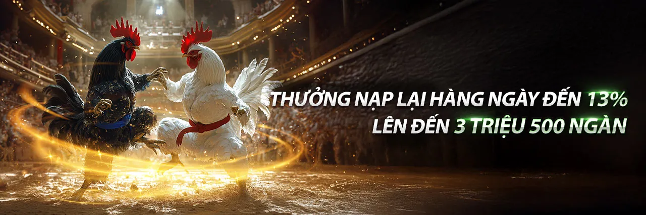 Đá Gà Trực Tuyến Hấp Dẫn