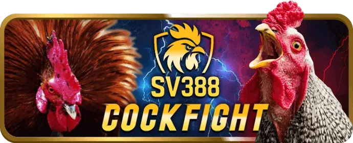 Chọn loại xổ số và đặt cược